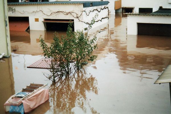 Hochwasser 1993 - Moselweg